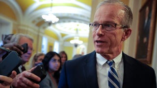 Thune reveals reason Democrats are 'scared' to reopen DHS