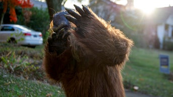 Bigfoot buzz explodes in community after six sightings reported in just four days - Fox News