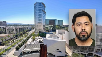 Rideshare driver allegedly posed as helper to kidnap, sexually assault drunk woman - Fox News