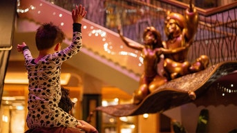 Disney cruise ad celebrating dads and sons goes viral as conservatives celebrate shift - Fox News