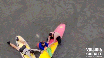 Video shows suspect’s desperate river escape as officers launch paddleboard pursuit - Fox News