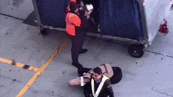 Baggage handler slammed after viral video shows guitars violently tossed on tarmac - Fox News