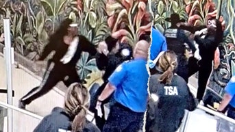 California man allegedly punches TSA officer after ID check fails at Dallas airport - Fox News