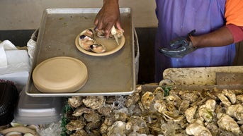 Historic sewage spill leaves US oyster industry reeling: 'It's devastating us' - Fox News
