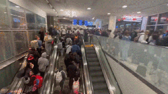 Video shows crazy airport crowds as passengers pour in and clog security lines - Fox News