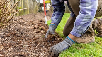 Get your lawn ready for spring with these tools, starting at $21