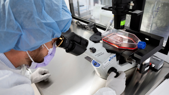 New cancer tech sends chemo straight to tumors