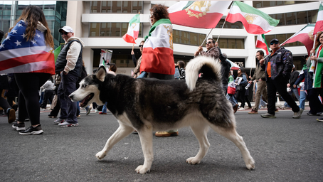 With dogs, dance and uncovered hair, Iranians defy 'unholy alliance' of socialists, radicals: ‘Hypocrites!’