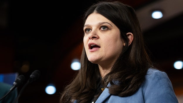Michigan Democrats scramble to mend party rift after Stevens' fiancé backs Republican Rogers