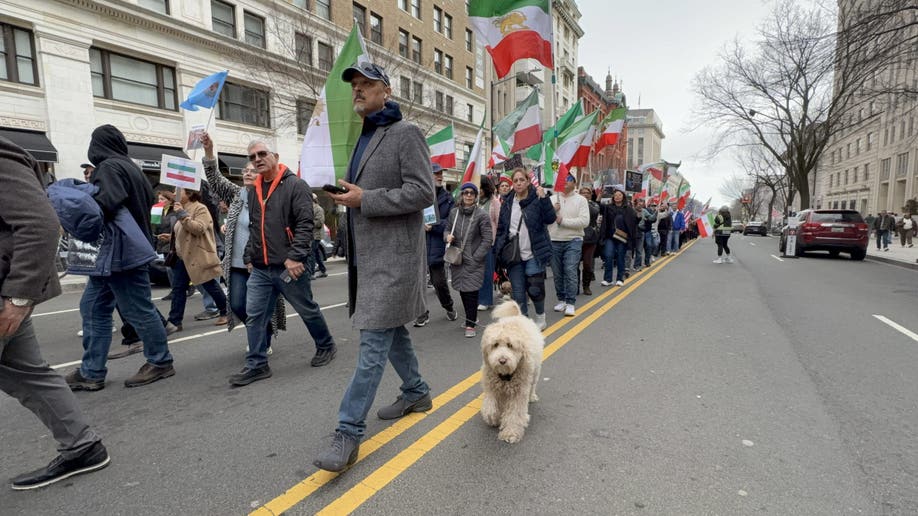 Iranian American and Bella