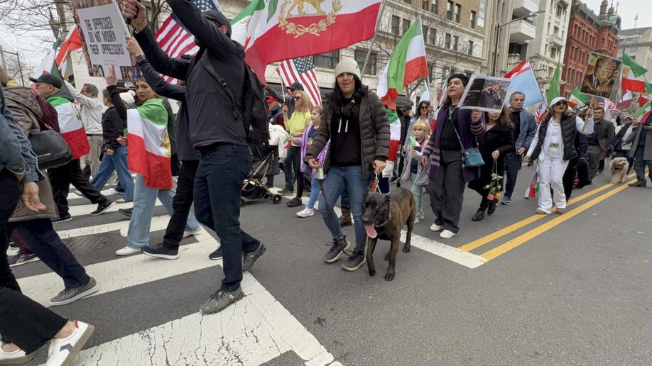 Marcher with dog