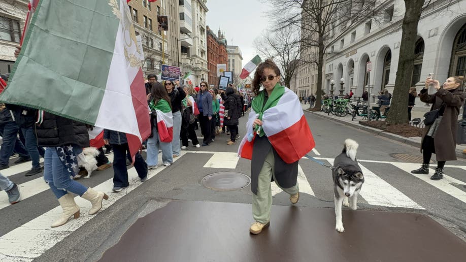 Marcher and husky dog