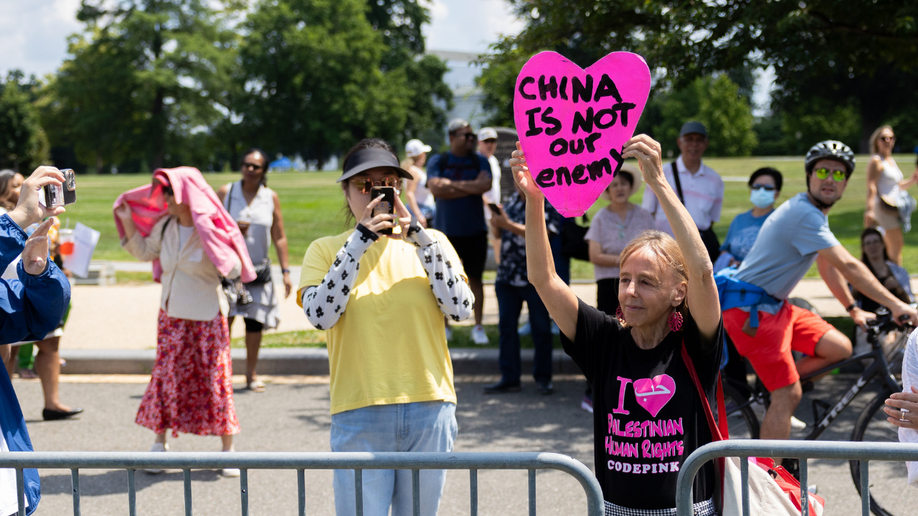 Medea Benjamin with pro-China sign