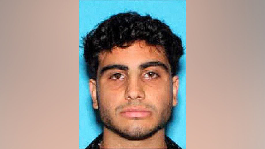 Roma Akoyans mugshot,