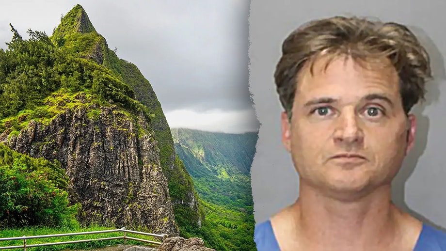 Doctor's wife testifies he beat her with rock, tried to force her toward cliff edge during hike