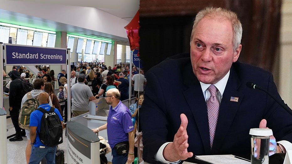 171 million travelers face airport delays as Democrats' DHS shutdown hits TSA staffing, Scalise warns