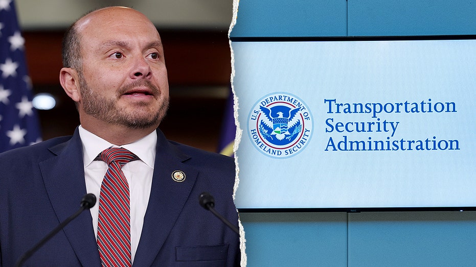 EXCLUSIVE: House Republicans to hold hearing on DHS shutdown risks amid travel surge