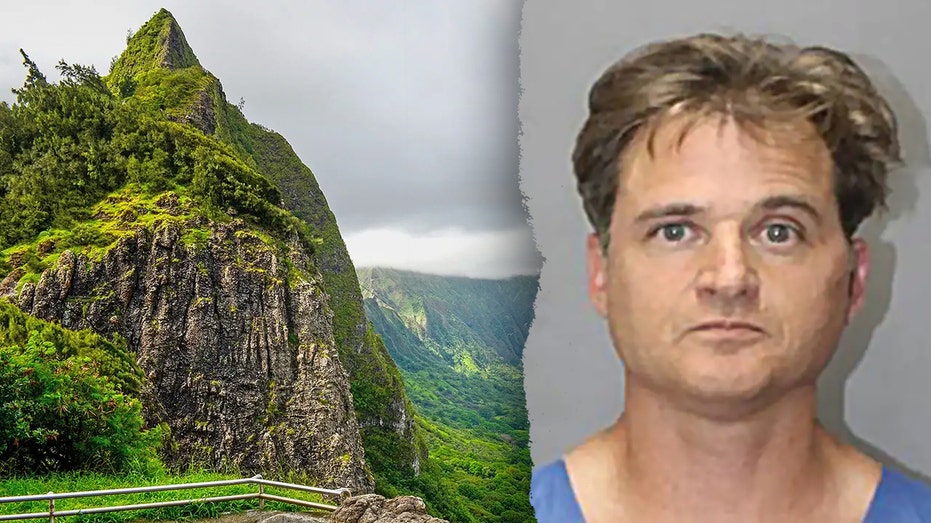 Doctor’s wife testifies he beat her with rock, tried to force her toward cliff edge during hike