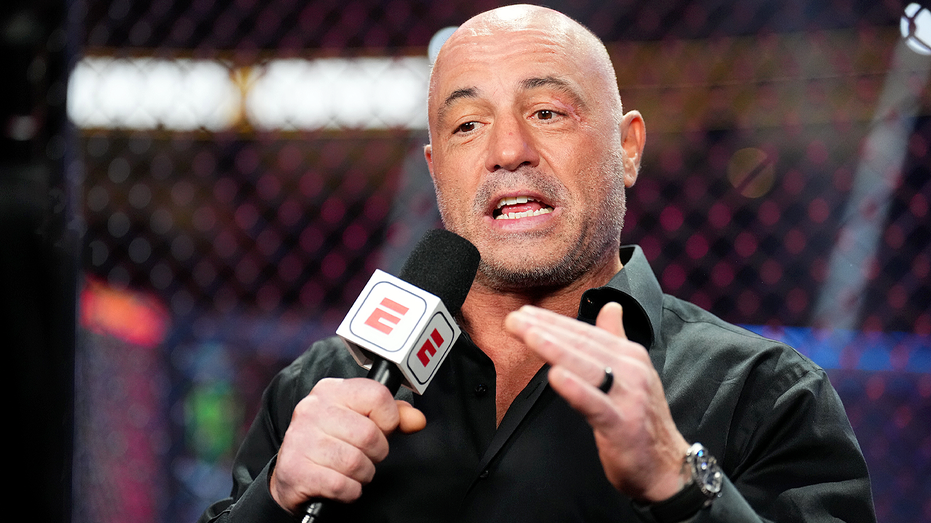 Rogan calls out 'f------ ridiculous' CNN post for downplaying bomb suspects as if they were 'regular fellas'