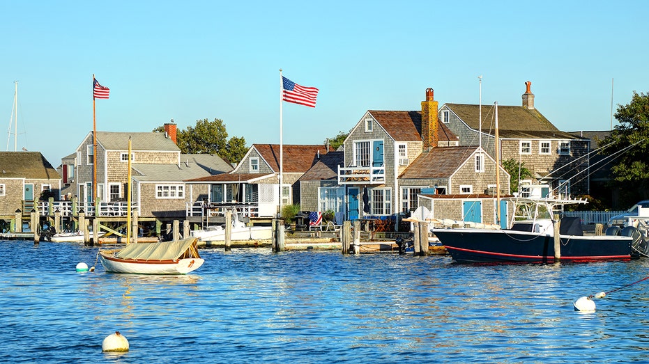 Popular summer destination ravaged by Lyme disease bets on radical new solution