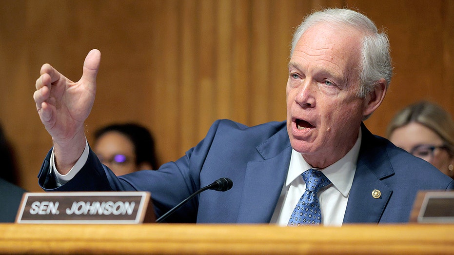Sen Ron Johnson says Senate is 'broken' and calls for ending the filibuster over DHS funding fight