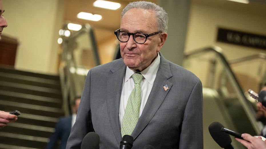 Schumer, Dems hold firm on DHS funding despite Noem's bombshell ousting