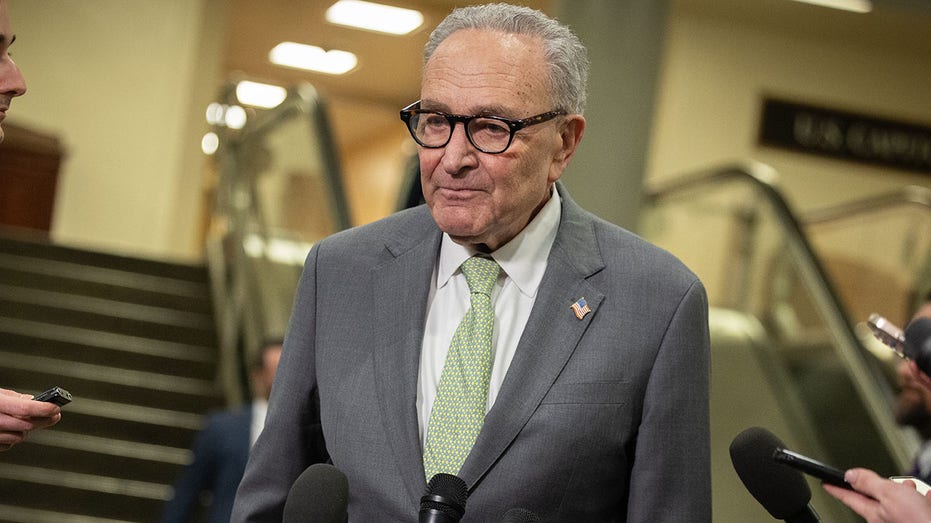 Schumer, Dems hold firm on DHS funding despite Noem's bombshell ousting