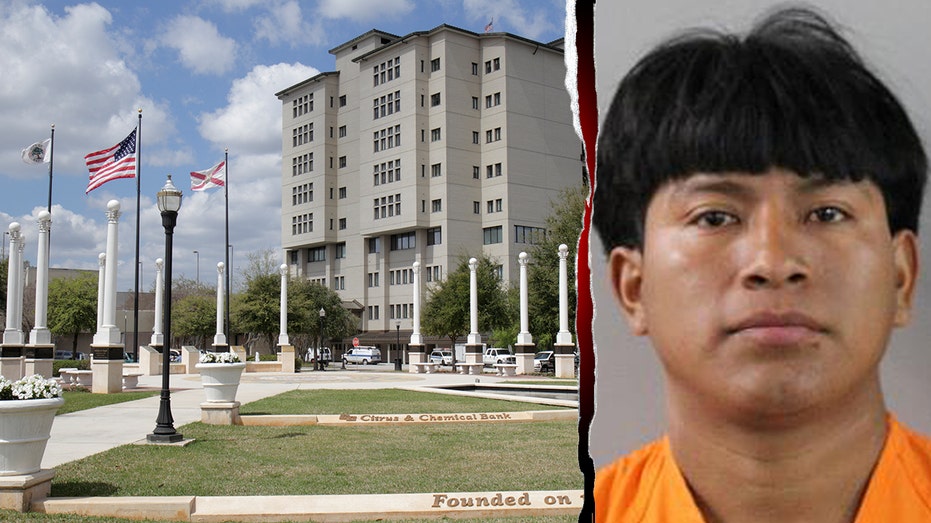 Illegal immigrant allegedly stalks, hunts teenager through local park in armed attack: police