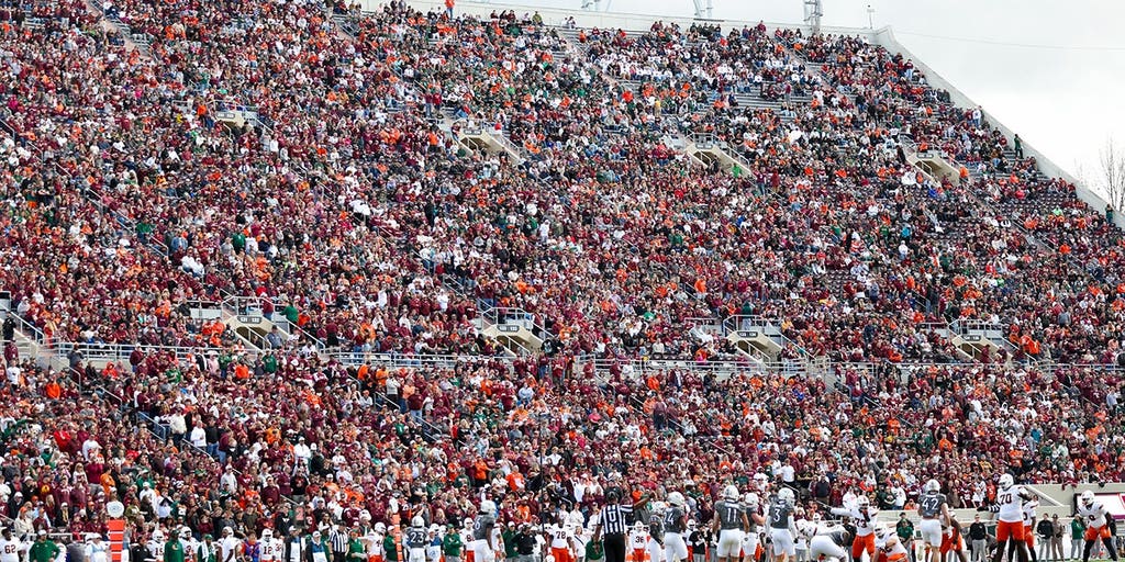 Skydiver Rescued After Crashing Into Scoreboard