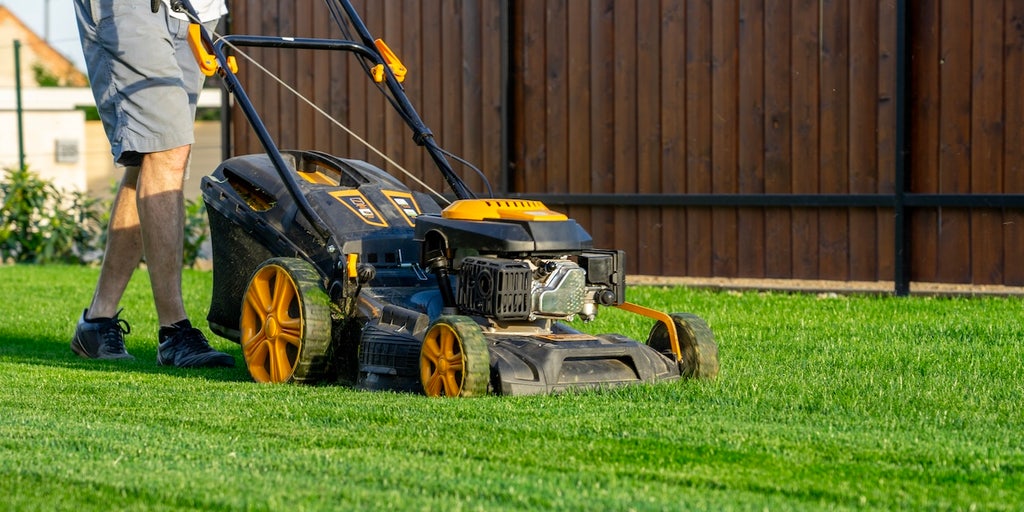 foxnews.com - Christopher Murray - 8 electric and gas lawn mower deals - starting at $250