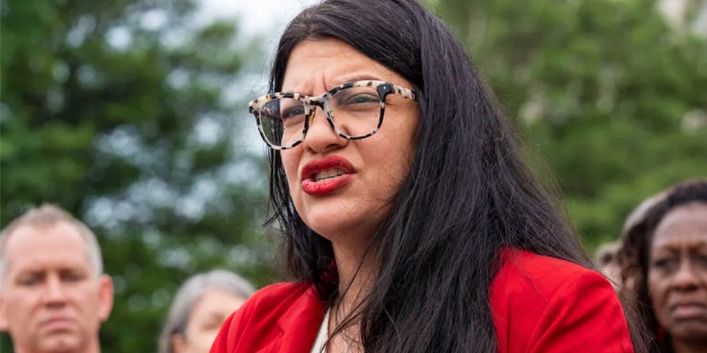 Squad socialist scores re-election nod as radical wave continues to sweep party