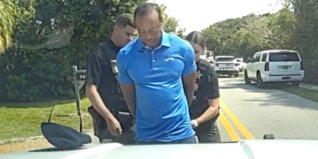 Florida judge rules prosecutors can access Tiger Woods' prescription drug history after DUI arrest: report