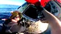 New Artemis II video shows moment Navy medical team opened hatch, welcomed astronauts - Fox News