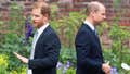 Prince William&rsquo;s &lsquo;ruthless side&rsquo; emerges as he views Prince Harry as &lsquo;untrustworthy': experts - Fox News