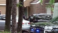 FBI raids Texas home of suspect accused of throwing Molotov cocktail at Sam Altman's San Francisco house - Fox News