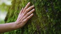 English nature festival makes the important clarification that it is not for nudists - Fox News