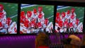 Watching the NFL will cost more, require more streaming services than ever this season - Fox News