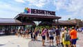 'Unsupervised' child at Hersheypark zoo injured by wolf after crawling under safety barrier - Fox News