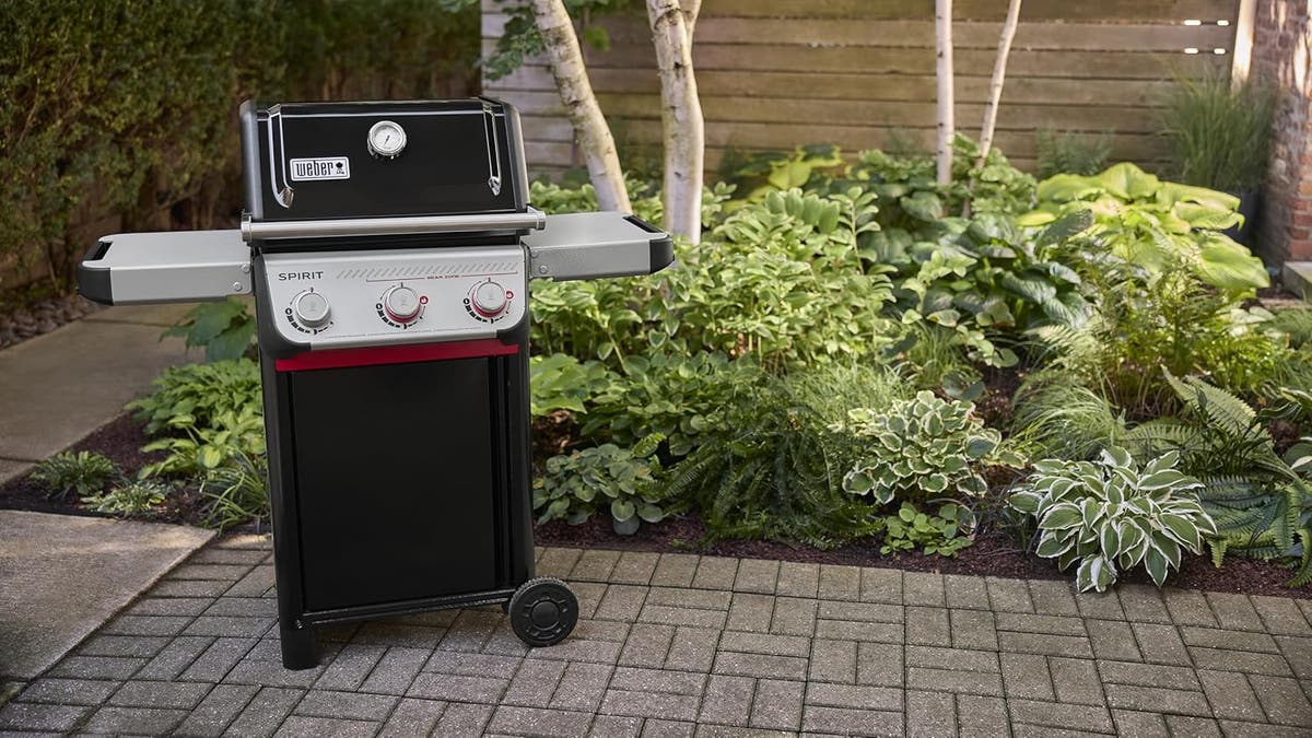 This small grill is $50 off this week.