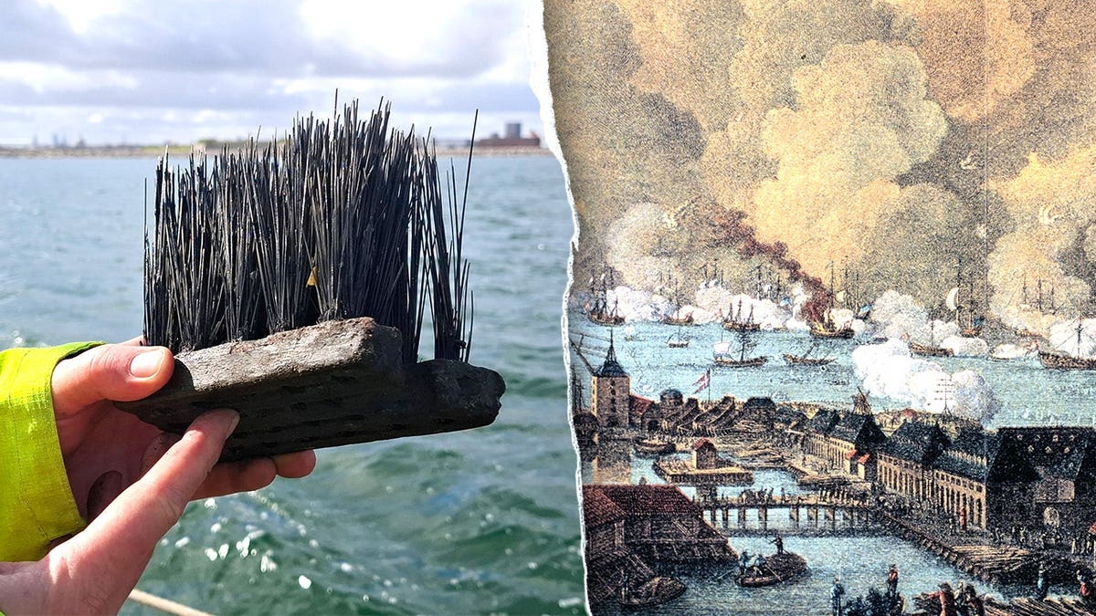 Split representation  of comb found, coating  of Battle of Copenhagen