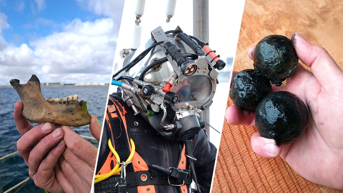 Archaeologist holding jaw bony  and cannonballs