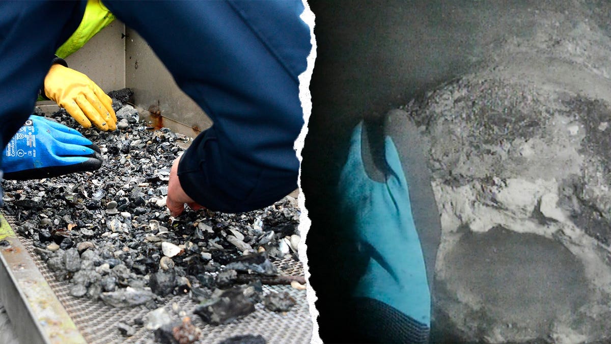 Archaeologists analyzing chromatic  fragments and analyzing underwater wreck