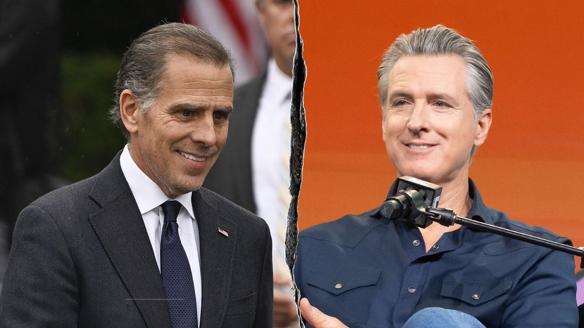 Hunter Biden and Gavin Newsom