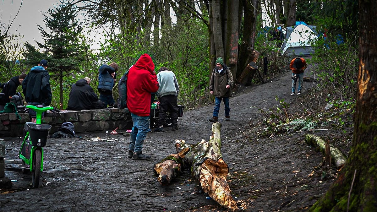 Homeless-in-Lewis-Park
