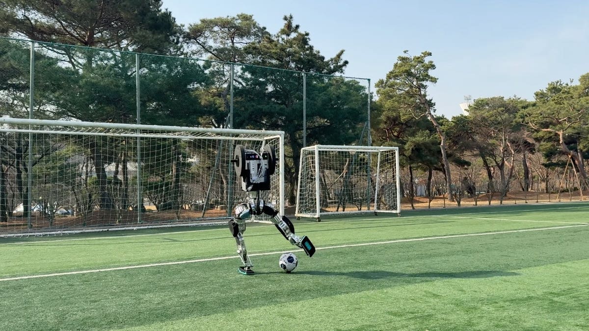 human robot tracks and kicks a soccer ball