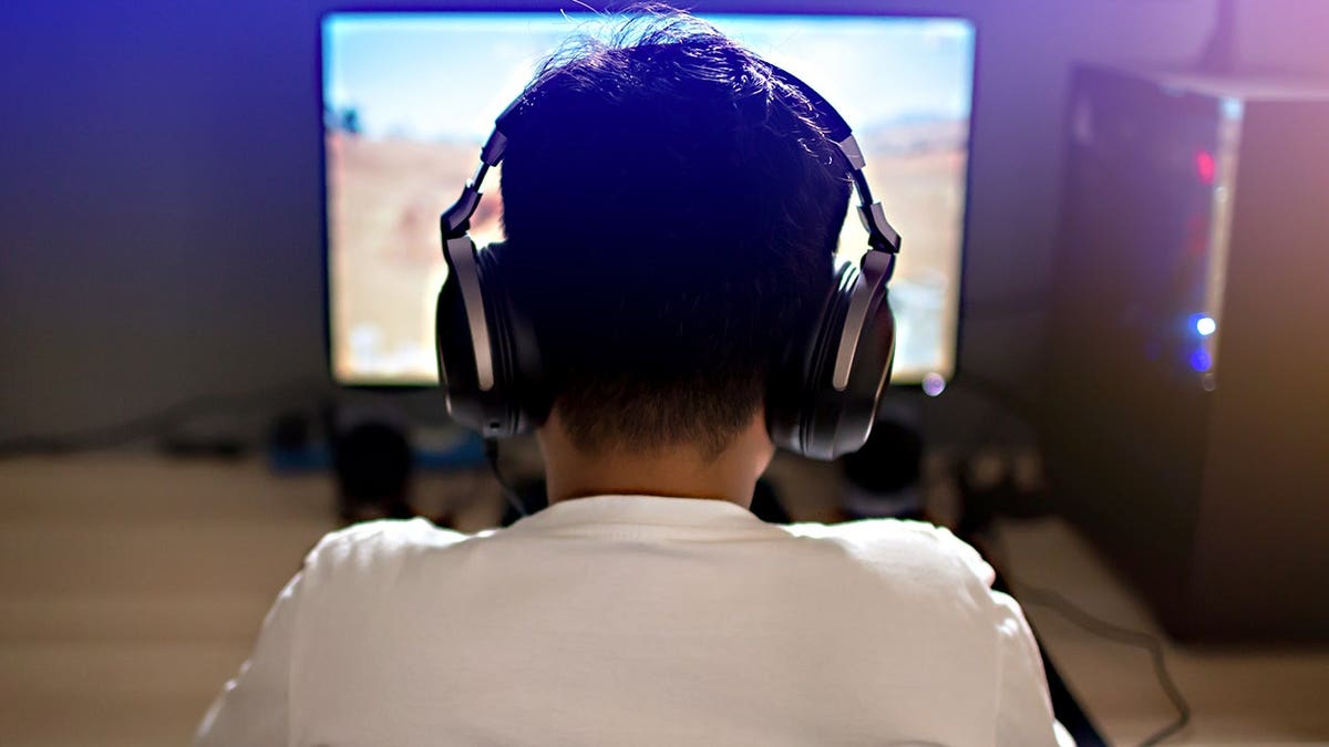 Child plays a video game