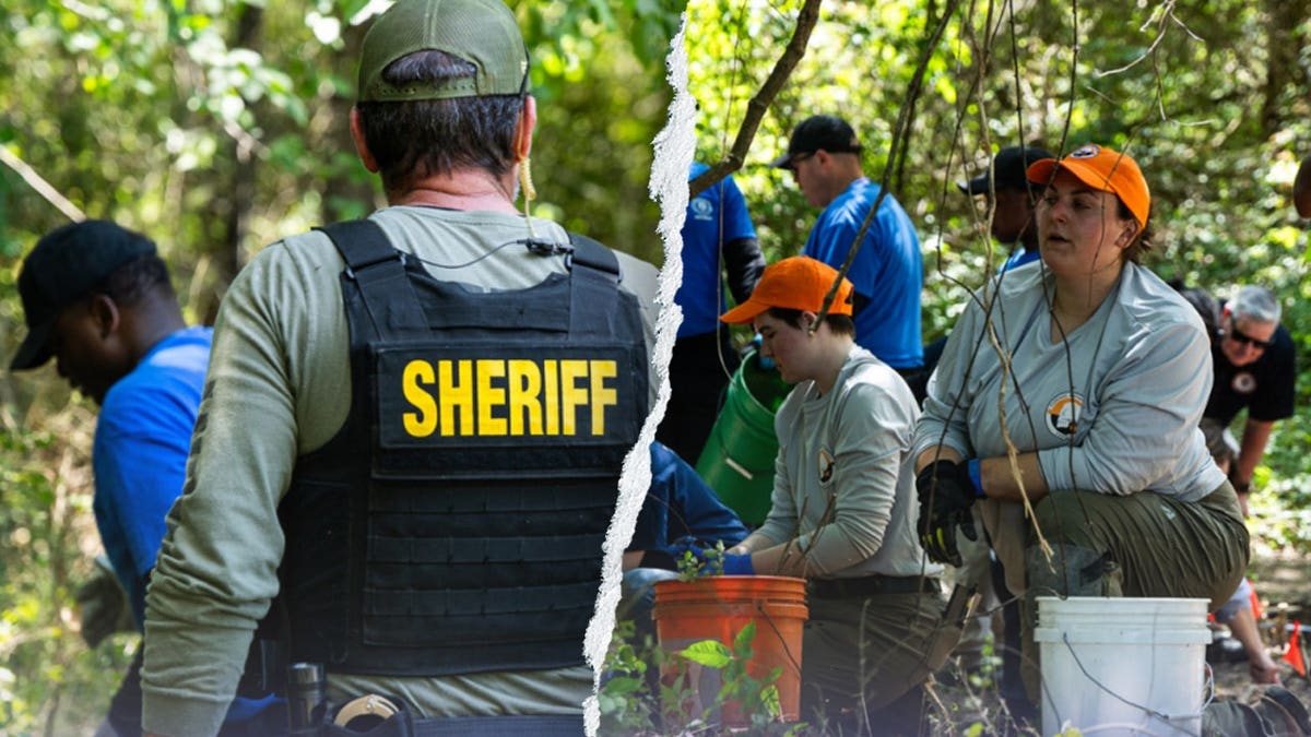 Authorities in Memphis investigate discovery of human remains