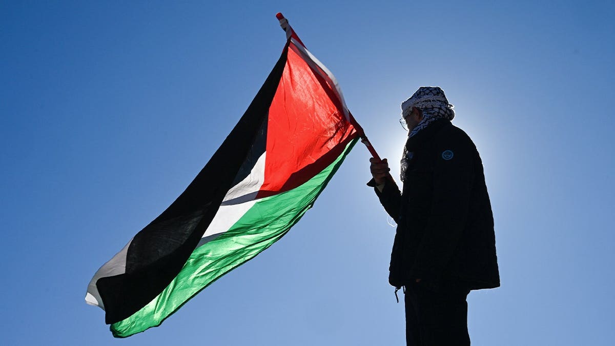 Person waving a Palestinian flag