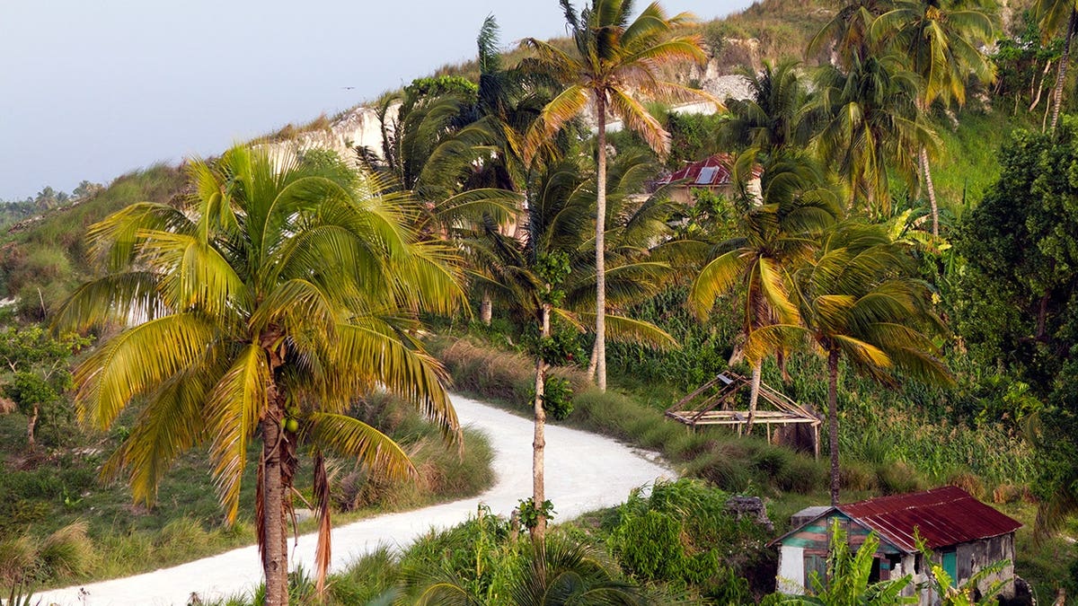 View of road with small houses and palm trees in Haiti