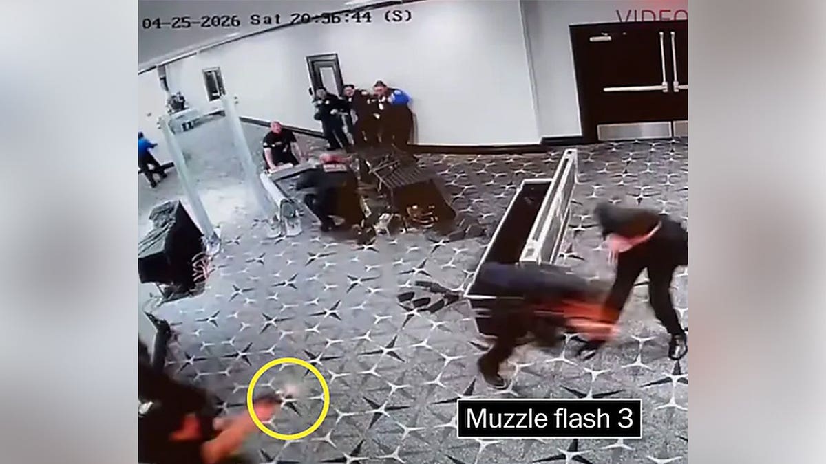 A Secret Service agent fires at Cole Allen